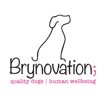 Brynovation-logo-1200x800
