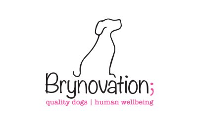Brynovation-logo-1200x800